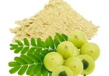 Pankhudi Amla Powder