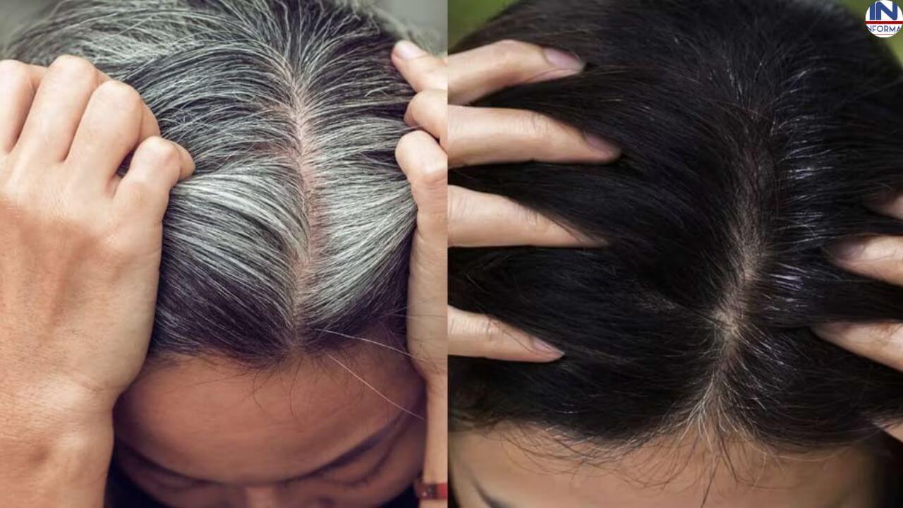 Which Henna is Best for White Hair? Discover the Power of Pankhudi Henna