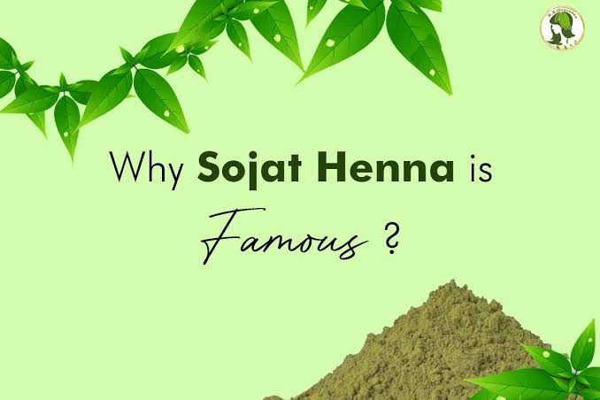 Why Sojat Henna is Famous: A Closer Look at the Celebrity-Favorite Mehndi and Introducing Pankhudi Henna