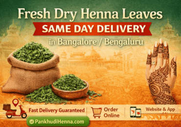 Fresh Dry Henna Leaves – Same Day Delivery in Bangalore / Bengaluru