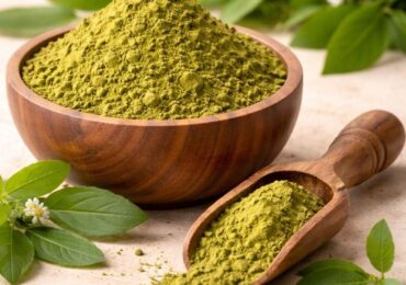 Pure Henna Powder – Why Pankhudi Henna Powder Is the Natural Choice for Healthy Hair